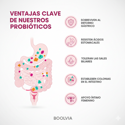 Boolvia Probióticos Mujer – Equilibrio Íntimo y Flora Vaginal (90 Cápsulas)